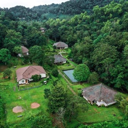 Abad Brookside Wayanad Hotel Vythiri Eksteriør billede