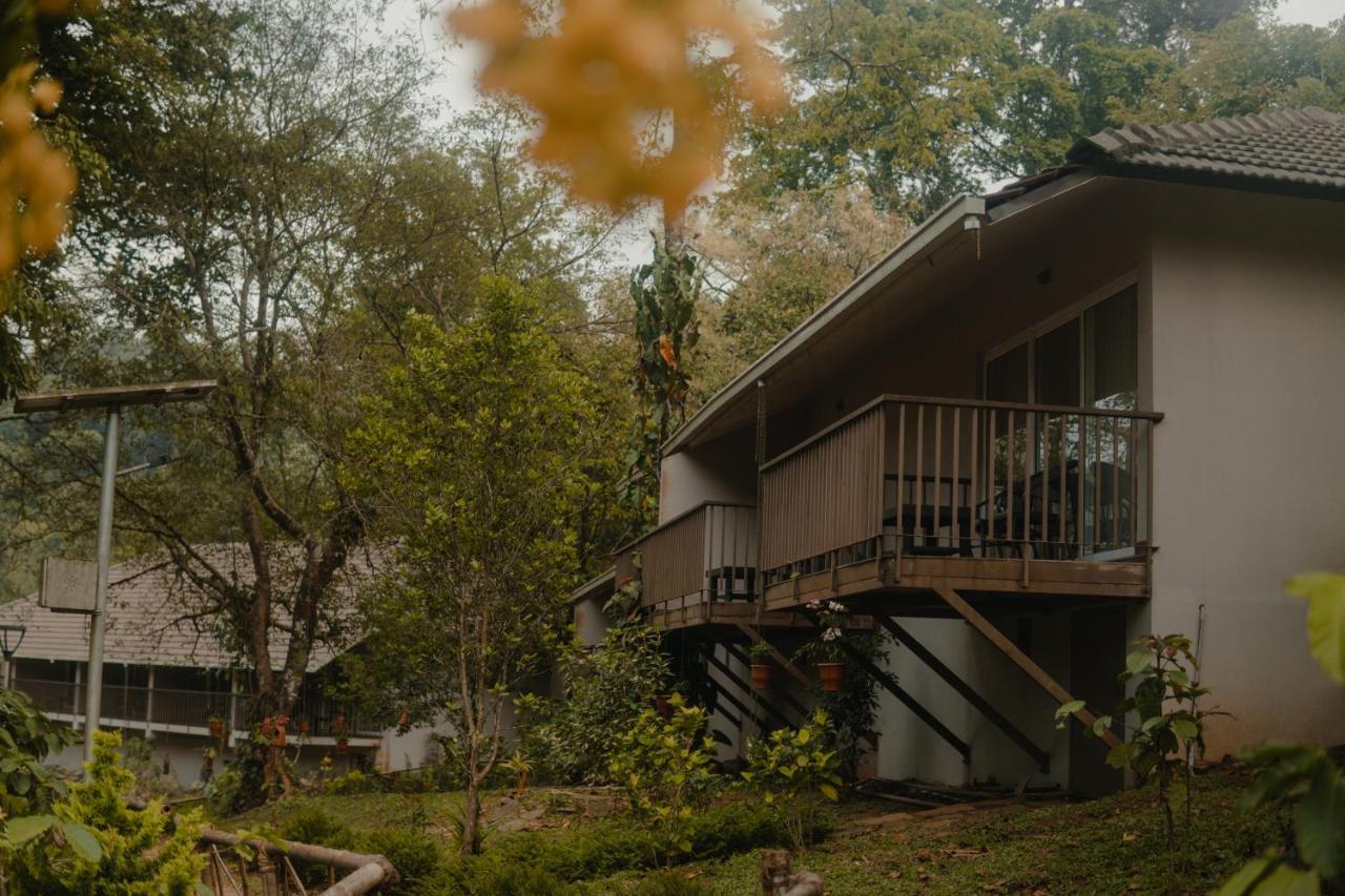Abad Brookside Wayanad Hotel Vythiri Eksteriør billede