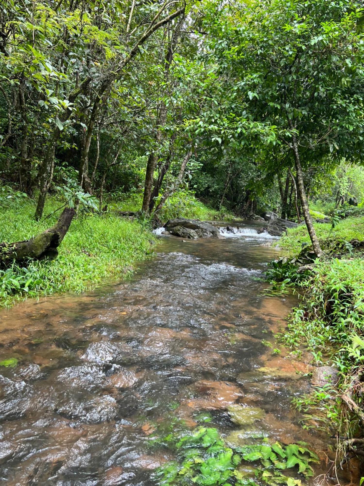 Abad Brookside Wayanad Hotel Vythiri Eksteriør billede