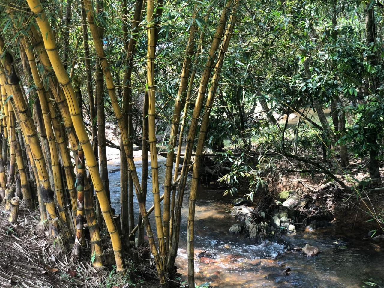 Abad Brookside Wayanad Hotel Vythiri Eksteriør billede
